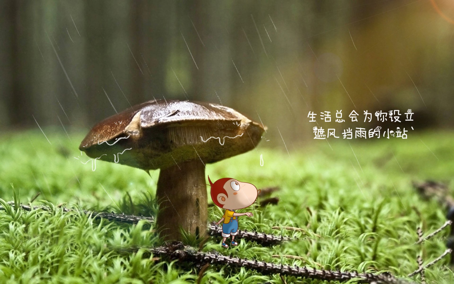 墨西哥战胜加拿大，冬奥足球荣登领奖台，墨西哥男足奥运