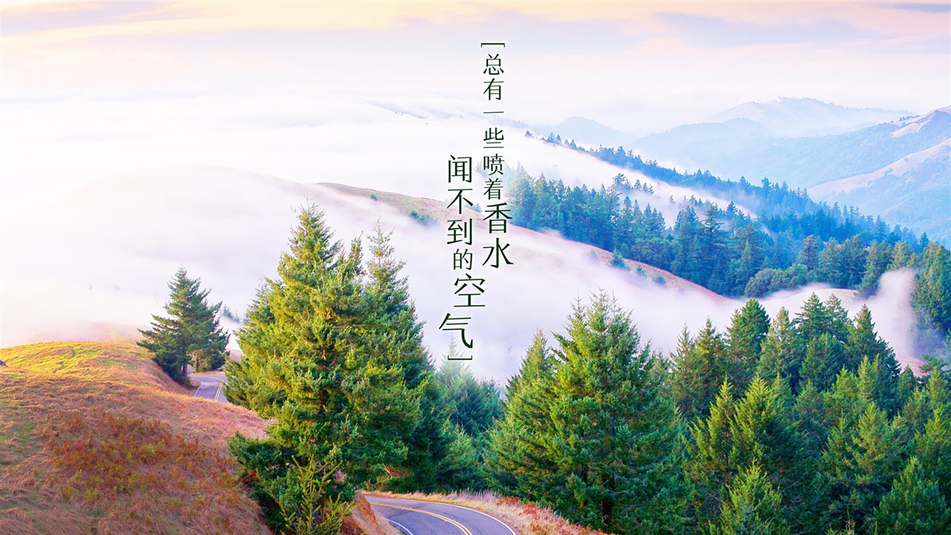 CBA球队加强个性化训练项目开发，cba的训练