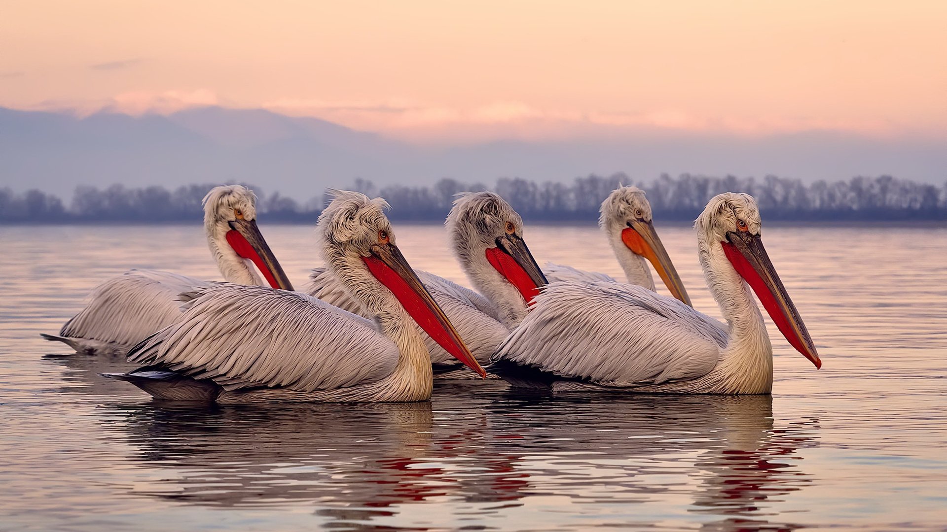 国家滑板协会公布全国青少年排名更新机制，国家滑板队训练中心