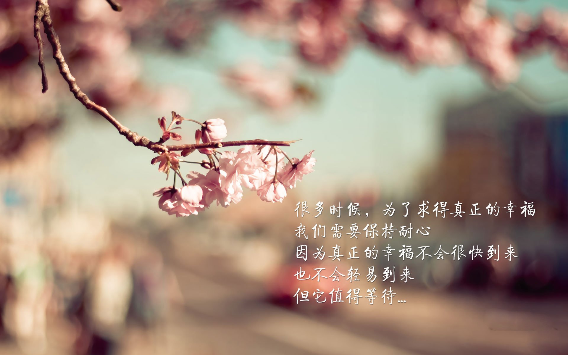 库里晒家庭训练日常强调陪伴重要，库里训练视频基础动作