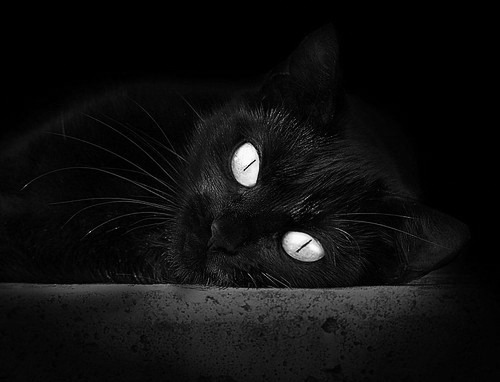 比赛过程跌宕起伏全队展现出不放弃的精神赢得全场掌声，比赛过程惊心动魄