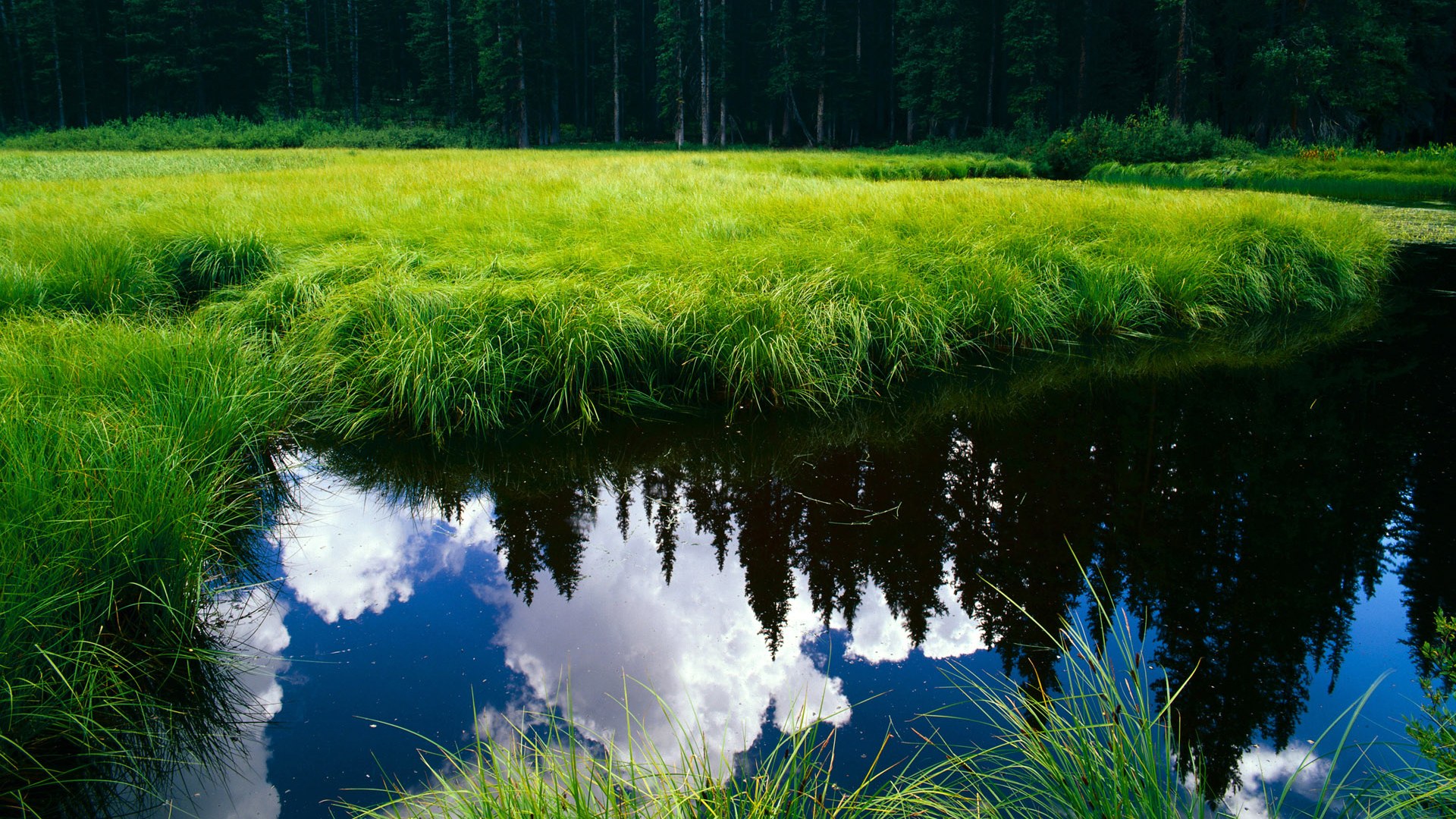 球队引入心理咨询师，重视球员心理健康管理，球员心态