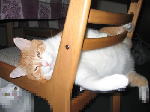 电竞选手体能训练引入传统体育方法，电竞选手锻炼身体