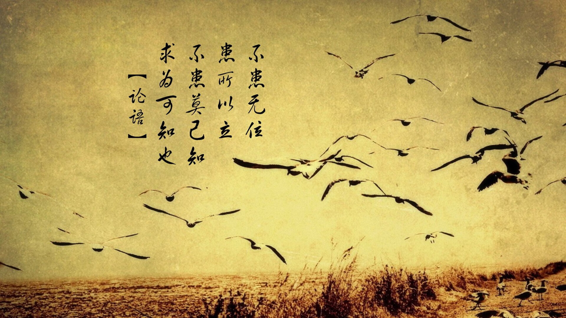 美洲杯的赛季规划与管理，2021年美洲杯规则