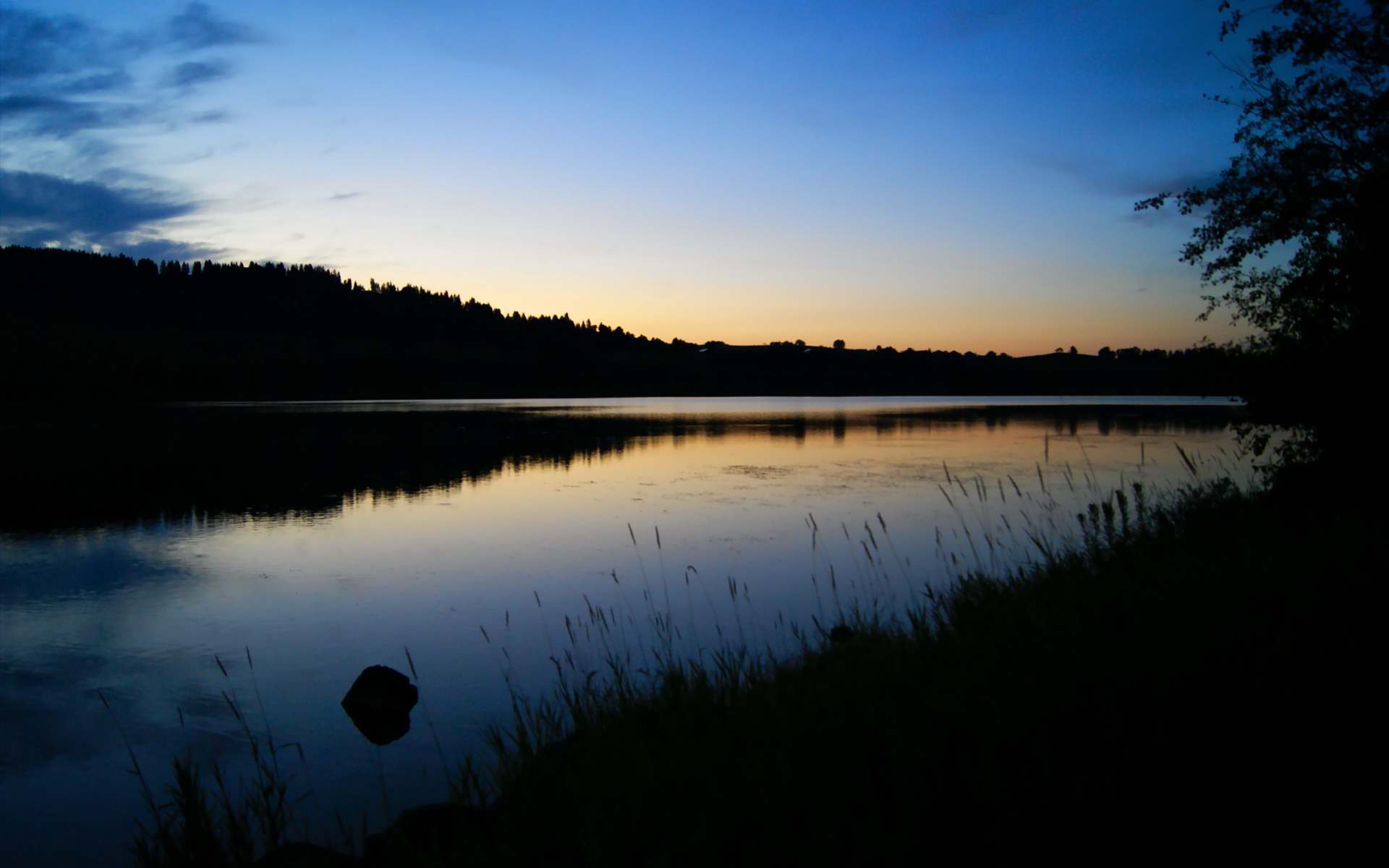 苏炳添将担任高校客座田径讲师，苏炳添田径运动员